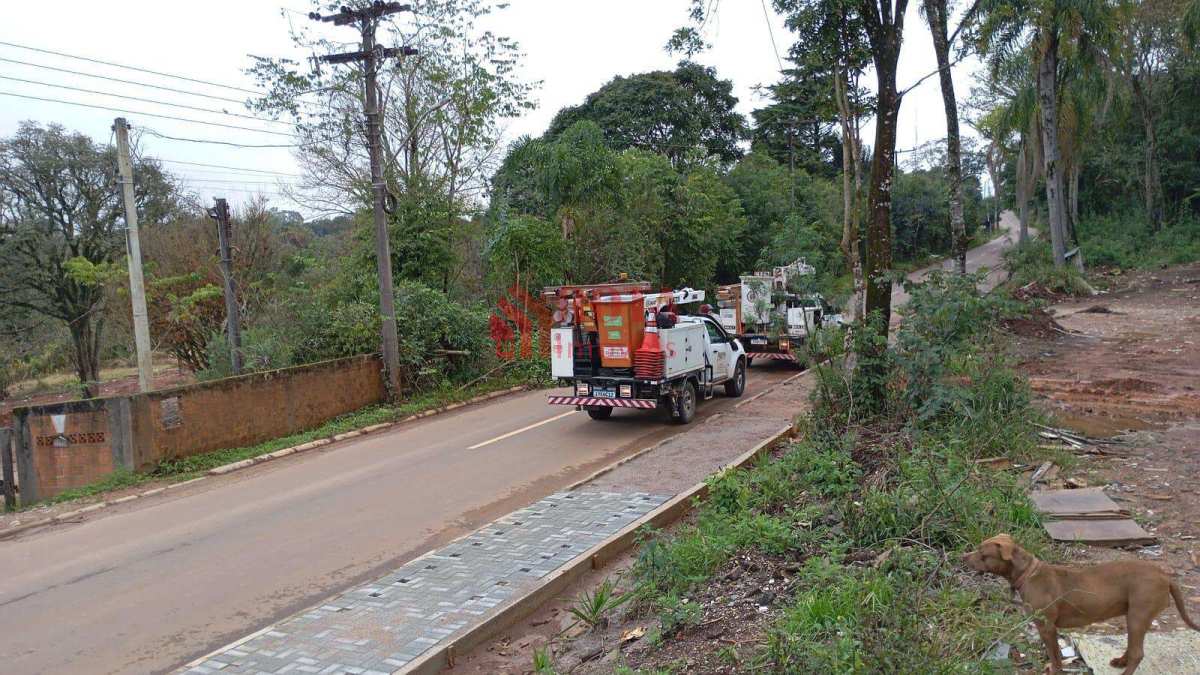 Área à venda em Curitiba, Augusta, 40.000m² - Rota Imóveis Curitiba