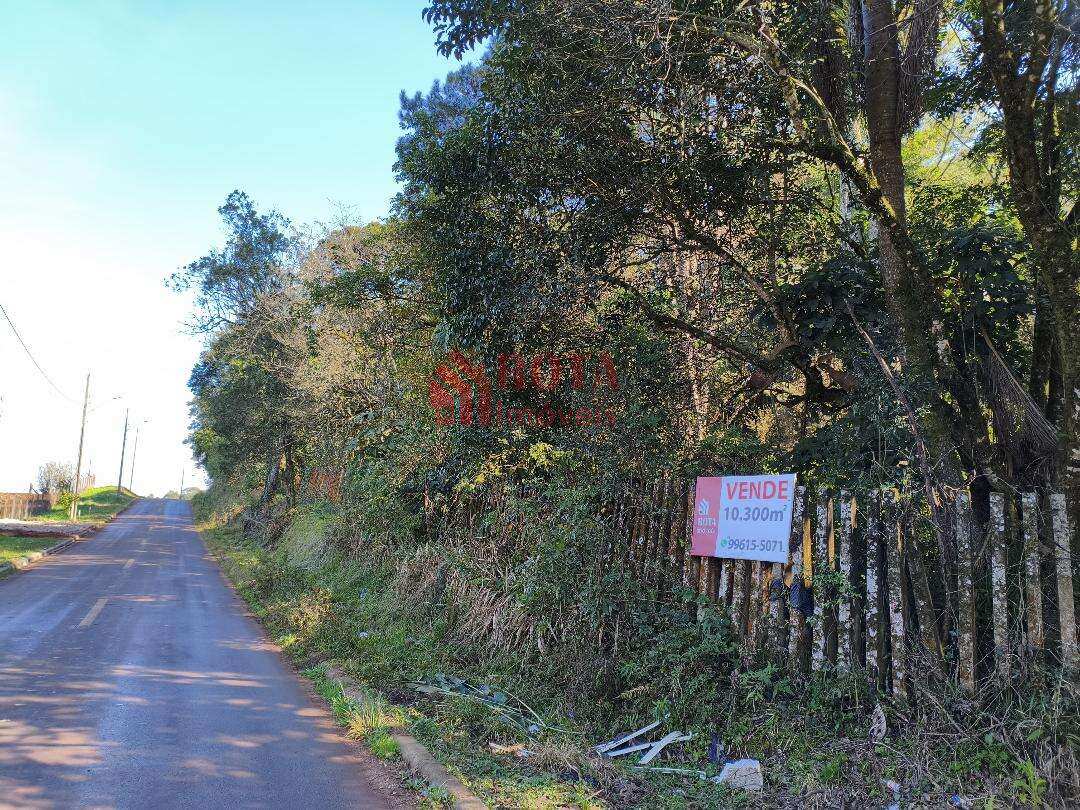 Excelente Terreno / Grandes Áreas com 10.300m², à venda em Curitiba, Augusta - Rota Imóveis Curitiba