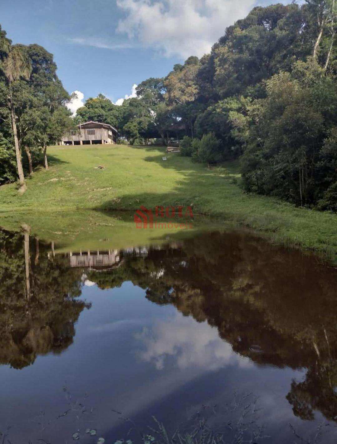 Sítio à venda, 12.500m² - Rota Imóveis Curitiba